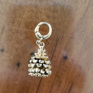 Fossil pinecone charm